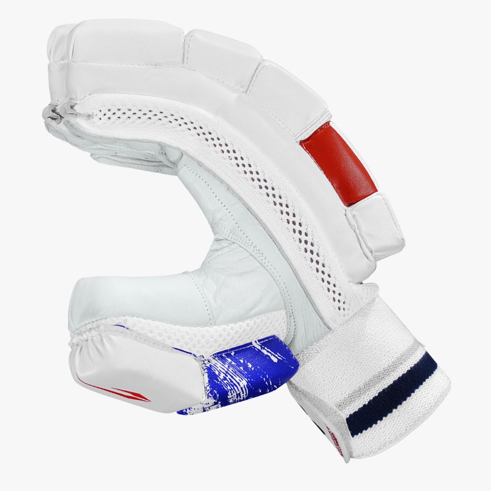 DSC Tornado Cricket Batting Gloves