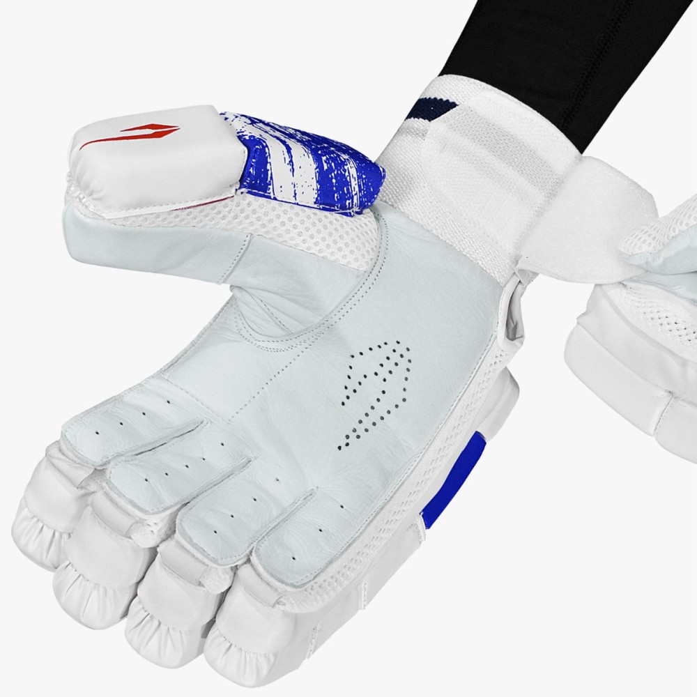 DSC Tornado Cricket Batting Gloves