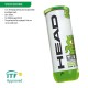 Head Tip- III Tennis Ball ( 3 Ball ) Single Can