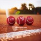 SG CLUB Heavy Cricket Balls (PACK OF 6)