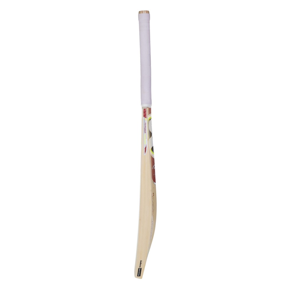 SG Valor Kashmir Willow Cricket Bat SG Valor Kashmir Willow Cricket Bat
