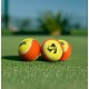 SG X ISPL Tennis Cricket Ball SG X ISPL Tennis Cricket Ball