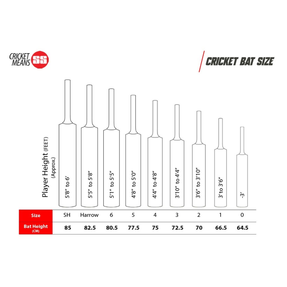 SS Extreme Kashmir Willow Cricket Bat