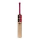 SS Gladiator Kashmir Willow Cricket Bat