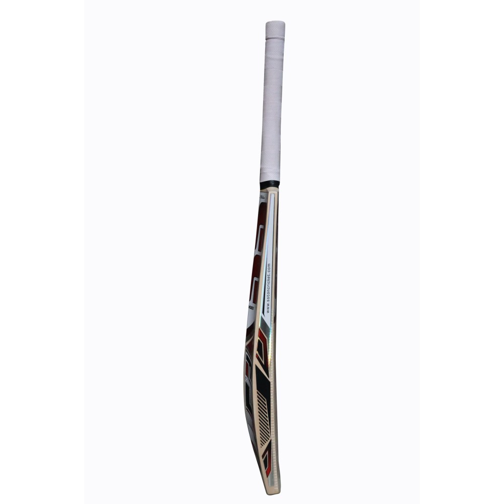 SS Master Kashmir Willow Cricket Bat