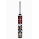SS Master Kashmir Willow Cricket Bat