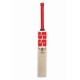 SS Pollard Player Kashmir Willow Cricket Bat