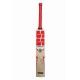 SS Pollard Player Kashmir Willow Cricket Bat