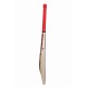 SS Pollard Player Kashmir Willow Cricket Bat