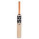 SS R-7 Kashmir Willow Cricket Bat