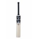SS Tim David Player Kashmir Willow Cricket Bat