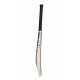 SS Tim David Player Kashmir Willow Cricket Bat