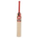 SS VA 900 Emerald Kashmir Willow Cricket Bat