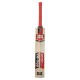 SS VA 900 Emerald Kashmir Willow Cricket Bat