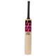 SS Vintage Platinum Kashmir Willow Cricket Bat