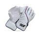 Stanford Blaster Wicket Keeping Gloves