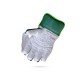 Stanford Club Wicket Keeping Gloves