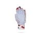 Stanford Match Cricket Batting Gloves