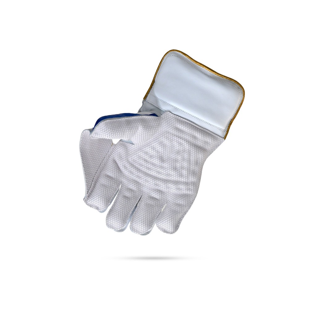 Stanford Platinum Wicket Keeping Gloves