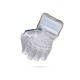 Stanford Platinum Wicket Keeping Gloves