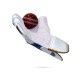 Stanford Platinum Wicket Keeping Gloves