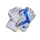 Stanford Platinum Wicket Keeping Gloves