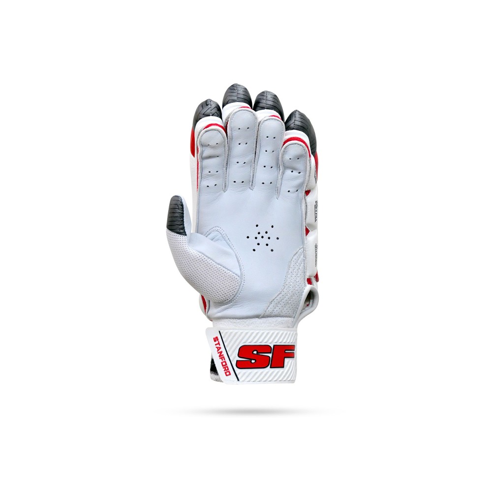 Stanford Test Cricket Batting Gloves