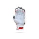 Stanford Test Cricket Batting Gloves