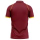 West Indies T20 World Cup 2012 Half Sleeves Cricket Fan Jersey - 100% Dryfit Polyester - With Name Personalization