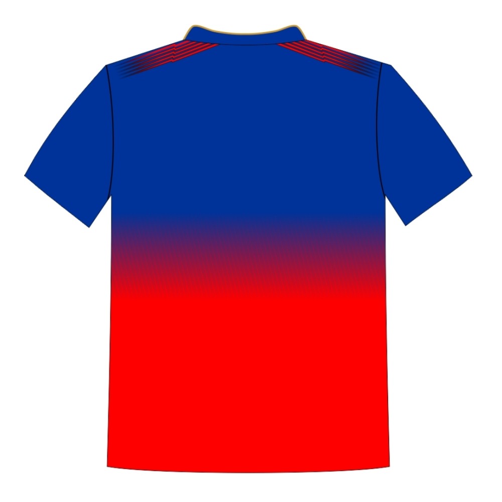 Whitedot Printed Team Wear - 100% Dry fit Polyester - Personalize it with your name & club logo - 540008