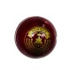 Whitedot Summer Red Cricket Leather Ball - 50 Over - Pack of 2