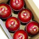 Whitedot Summer Red Cricket Leather Ball - 50 Over - Pack of 2