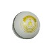 Whitedot Summer White Cricket Leather Ball - 50 Over - Pack of 2