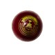 Whitedot Teal Red Cricket Leather Ball - 40 Over - Pack of 2