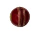 Whitedot Teal Red Cricket Leather Ball - 40 Over - Pack of 2