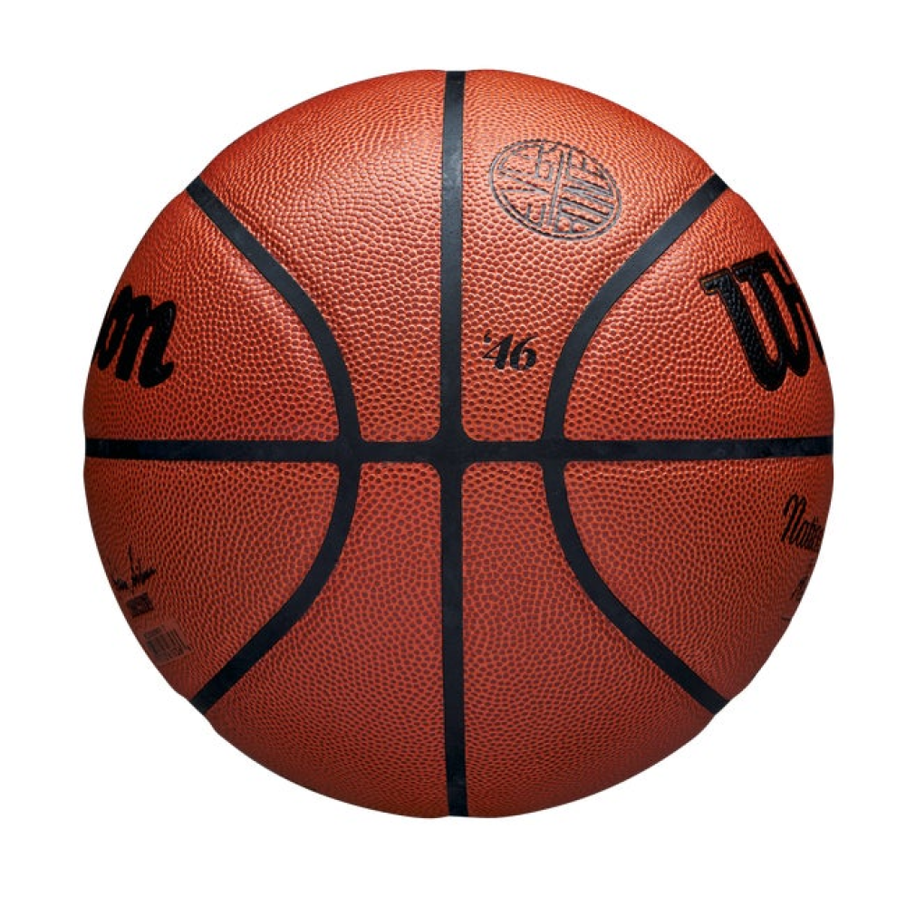 Wilson NBA Authentic Indoor/Outdoor Basketball