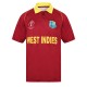 West Indies T20 World Cup 2019 Half Sleeves Cricket Fan Jersey - 100% Dryfit Polyester - With Name Personalization