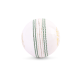 SG Club White Cricket Leather Ball SG Club White Cricket Leather Ball
