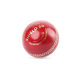 SG Shield 20 Red Cricket Leather Ball SG Shield 20 Red Cricket Leather Ball