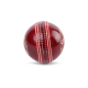 SG Campus Cricket Leather Ball SG Campus Cricket Leather Ball