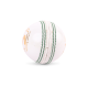 SG Test White Cricket Leather Ball SG Test White Cricket Leather Ball