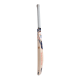 SG X LSG 1.0 English Willow Cricket Bat