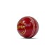 SG SUPER RED Cricket Ball - Using Premium Quality LEATHER, Pack of 1 SG SUPER RED Cricket Ball - Using Premium Quality LEATHER, Pack of 1