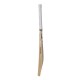 SG Player Ultimate English Willow Cricket Bat