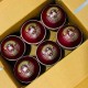 Whitedot Albatross Red Cricket Leather Ball - 40 Over - Pack of 2